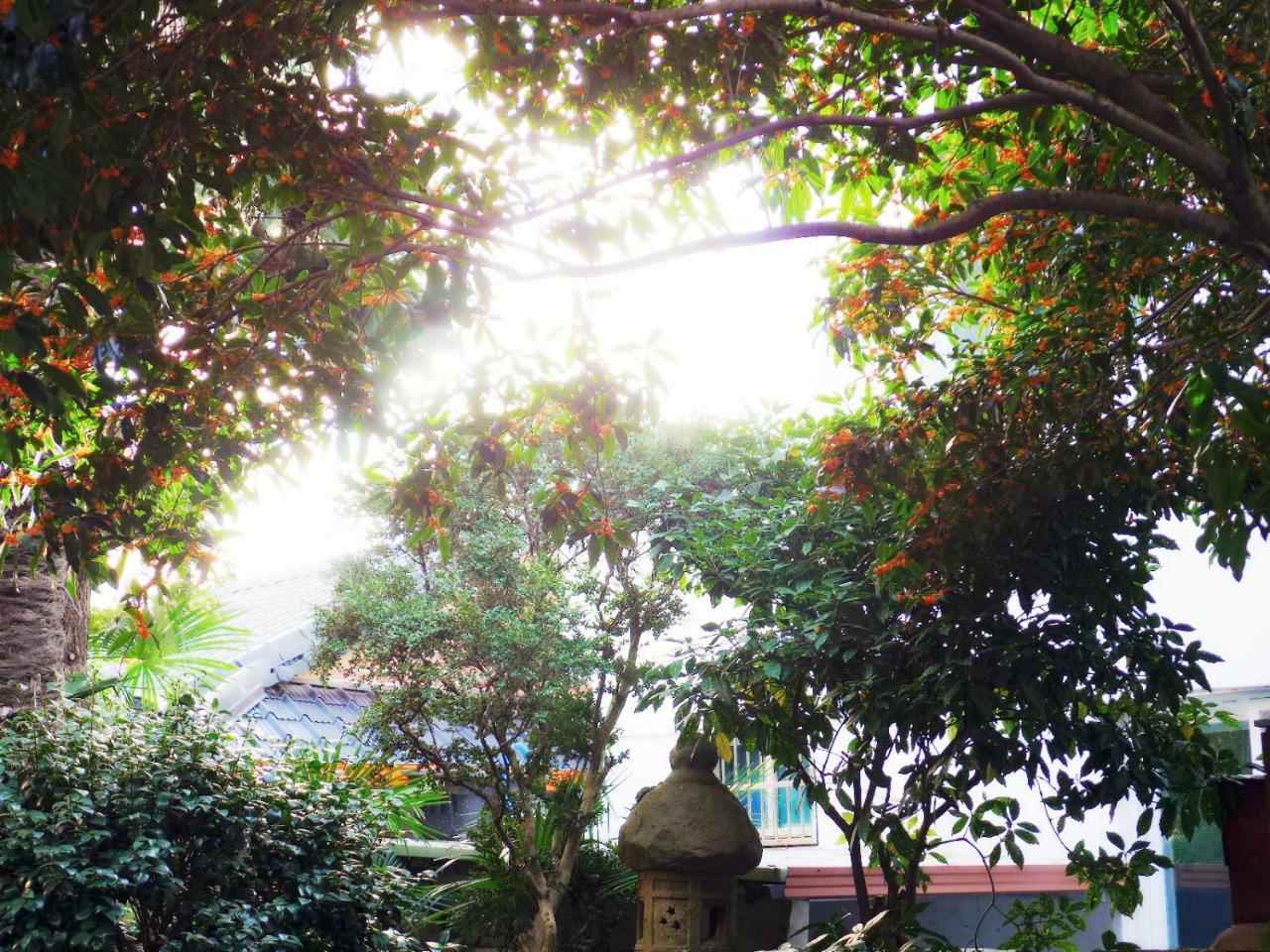 Picasso Guesthouse มกโพ ภายนอก รูปภาพ